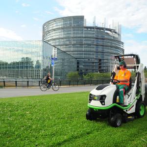 Aufsitzmäher Buffalo ETESIA 